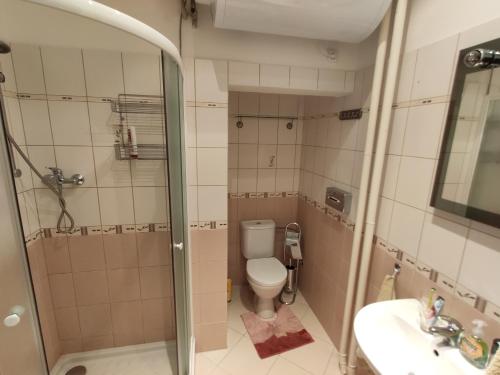 卡罗维发利Apartmán 63m2 s balkonem v lázeňském centru的带淋浴、卫生间和盥洗盆的浴室