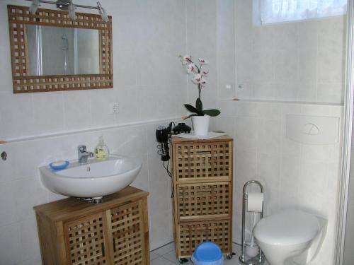 柏林新威尼斯之家公寓的一间带水槽、卫生间和镜子的浴室