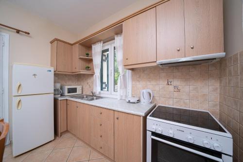 萨米Maria's Apartments的厨房配有木制橱柜和白色冰箱。