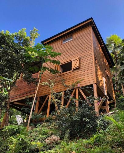 哥西尔Banana Cottage Ecolodge & Spa的一座树木繁茂的小山上的木制大房子