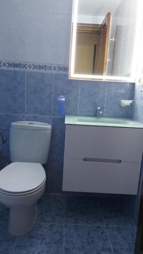 伊斯卡日拉Los Llanos de Escarrilla的一间带卫生间、水槽和镜子的浴室