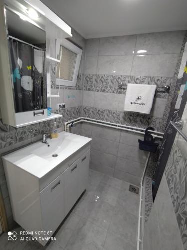 索科矿泉村Apartman Ljiljan的浴室配有白色水槽和淋浴。