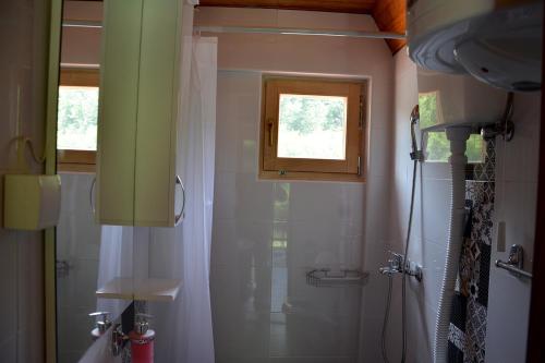 BioskaDanilovica Kuca的带淋浴的浴室和窗户。