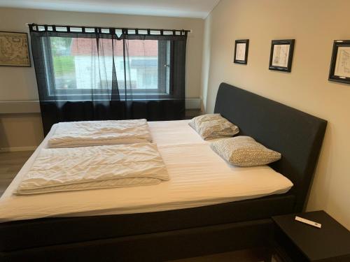 TorupTorups Vandrarhem的一张带两个枕头的床和窗户