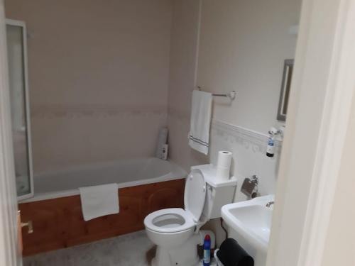 塔洛Mount Wolseley Holiday Home - Privately Owned的浴室配有卫生间、浴缸和水槽。