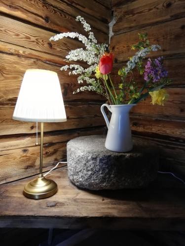 巴尔维Brīvupes的花瓶坐在灯边的岩石上