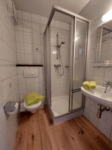 Appartements Zauchenseeblick Thunhart的一间浴室