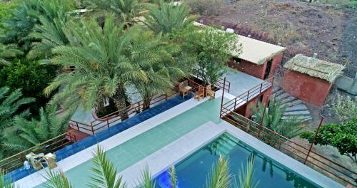 八田Hatta Art Hub Farm的享有棕榈树游泳池的顶部景致