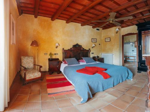 圣胡利亚-德尔略尔Can Vila的一间卧室配有一张大床和一把椅子