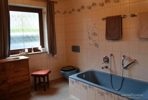 RettenschössGlückchalet的一间带蓝色浴缸和窗户的浴室