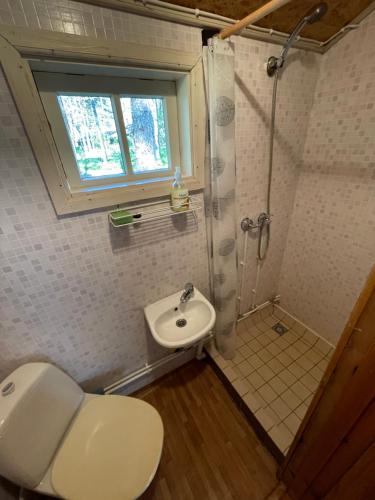 NõvaMetskonna Forest House的浴室配有卫生间、淋浴和盥洗盆。