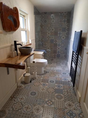 基拉尼Mary's Bespoke Cottage的一间带卫生间和水槽的浴室