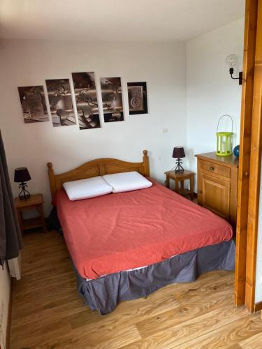 皮伊圣万桑Skis aux pieds station 1800 Dame Blanche的一间卧室配有一张铺有红色床单的床,墙上挂有图片