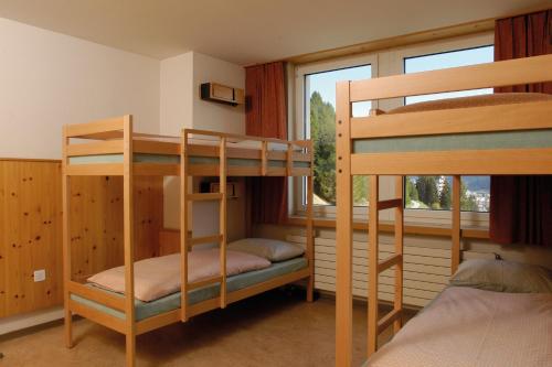 达沃斯青年旅舍客房内的一张或多张双层床