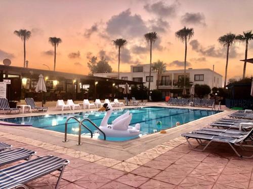 阿依纳帕Carina Hotel Apartments的度假村内带天鹅的游泳池