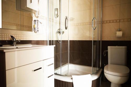 索库乌卡Zajazd Kresowia的带淋浴、卫生间和盥洗盆的浴室