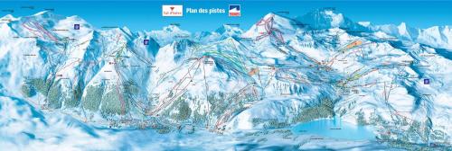 瓦勒迪泽尔Résidence Le Val d'Illaz - Val-d’Isère的雪覆盖的山,有滑雪场