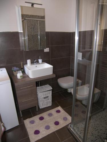 科莫Casa Molinari的一间带水槽、卫生间和淋浴的浴室