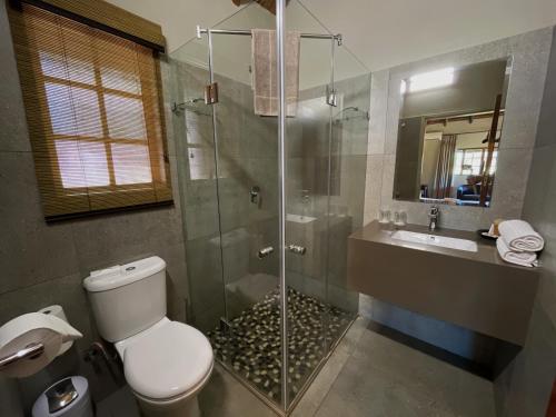Rust de WinterMongena Private Game Lodge的带淋浴、卫生间和盥洗盆的浴室