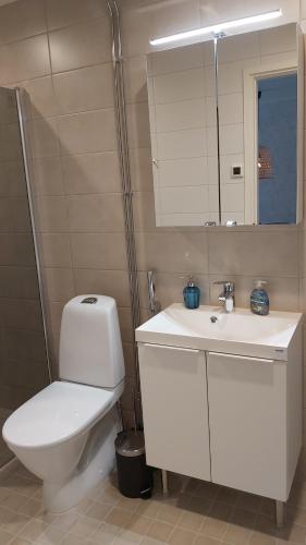 卡拉约基Kanervikko的一间带卫生间、水槽和镜子的浴室
