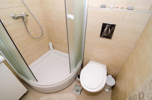 杜布罗夫尼克艾拉公寓酒店的带淋浴和卫生间的小浴室