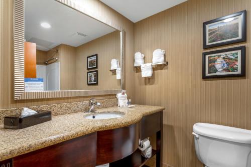 诺克斯维尔北诺克斯维尔舒适套房酒店的一间带水槽、卫生间和镜子的浴室