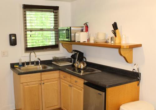 ShandakenCatskill Seasons Inn的厨房配有水槽和台面