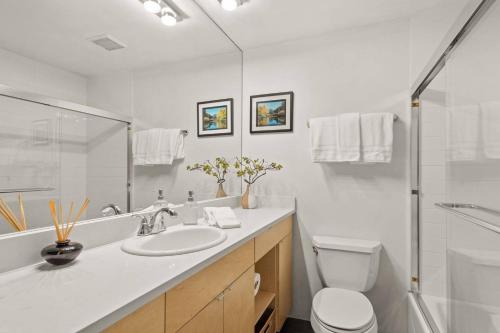 阿斯潘Sagewood 8的一间带水槽、卫生间和淋浴的浴室