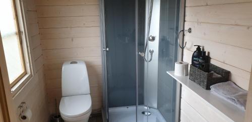 DrangsnesHvammur 5 with private hot tub的一间带卫生间和玻璃淋浴间的浴室