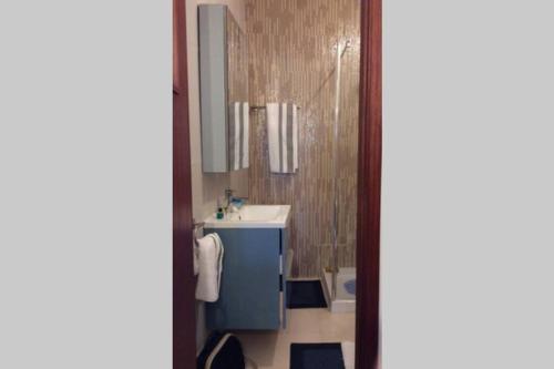 FânzeresCasa Isabel 2 bedroom apartment near Porto的一间带水槽和镜子的浴室