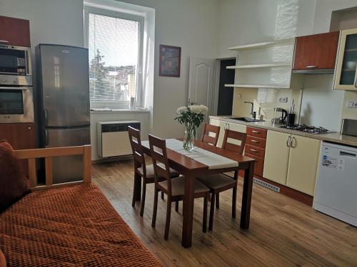 斯拉尼Fine apartment in centrum of Slaný with Aircondition的厨房配有桌椅和冰箱。