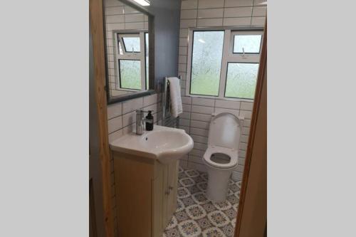 巴利霍尼斯Country Cabin Retreat, Ireland's Hidden Heartland F35 YC67的一间带水槽和卫生间的浴室