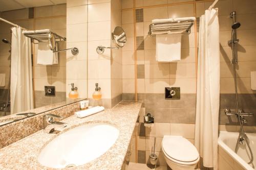 里加莫妮卡中心酒店 的一间带水槽和卫生间的浴室