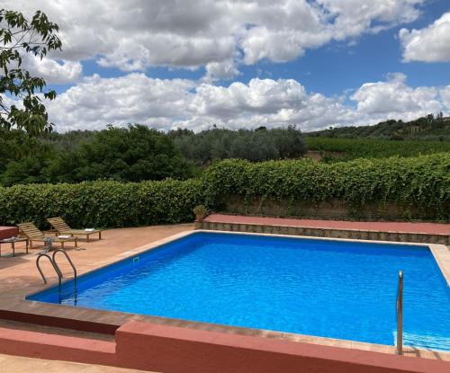 蒙蒂利亚Casa Rural Finca Buytrón的庭院内的游泳池,带椅子和树木