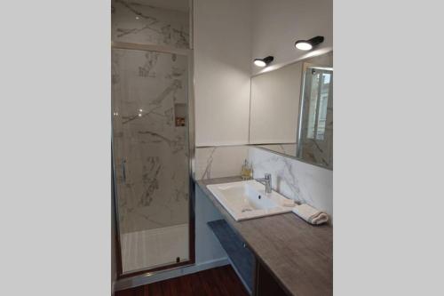 波尔多appartement 4 pers quartier Chartrons à Bordeaux的一间带水槽和淋浴的浴室