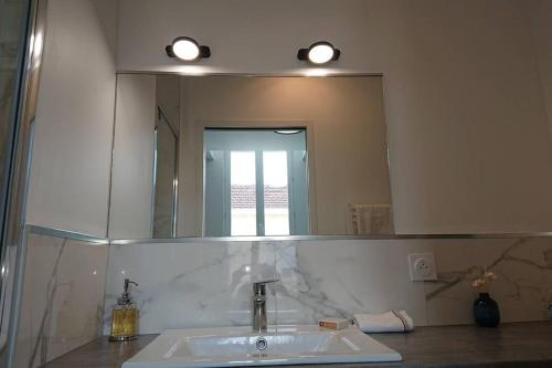波尔多appartement 4 pers quartier Chartrons à Bordeaux的一间带水槽和大镜子的浴室