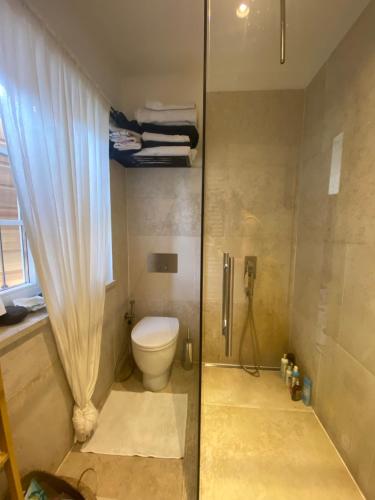 皮兰Villa St. Georges的浴室设有卫生间和带窗帘的淋浴。