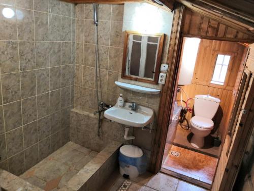Roşia MontanăCabana Taul Brazilor的一间带水槽和卫生间的小浴室