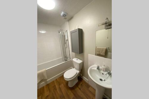 珀斯Stylish Loft Apartment in central Perth的一间带卫生间和水槽的浴室