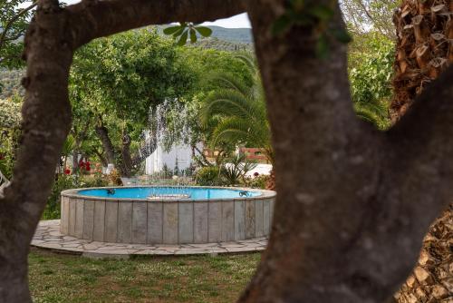 卡拉内拉Hotel Ainareti的一个带瀑布的花园内的游泳池