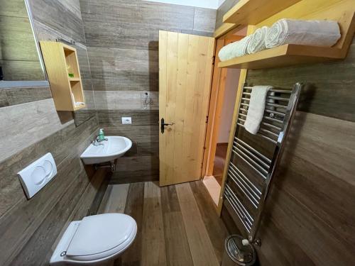 GradiskijeBaresha Agroturizem的一间带卫生间、水槽和双层床的浴室