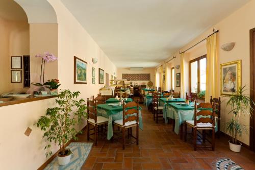 圣特雷莎加卢拉摩德诺酒店的一间种有绿色桌椅和植物的餐厅