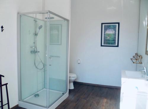 DamblainvilleChâteau du Mesnil Soleil , gites et chambres d'hôtes的一间带卫生间的浴室内的玻璃淋浴间