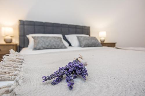 扎达尔Apartments Maella的床上一束紫色的鲜花