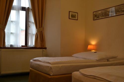 布拉格阿德尔伯特伊寇酒店的带窗户的客房内的两张床