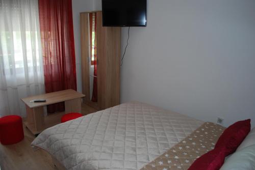 索科矿泉村Apartmani ,studija i sobe Savić的卧室配有一张床,墙上配有电视