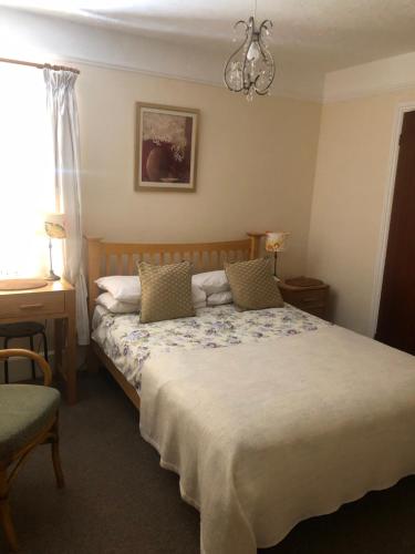 利明顿Auplands en-suite Rooms的一间卧室配有一张床和一个吊灯