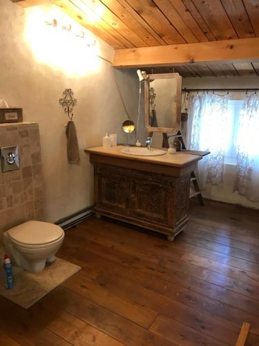 塞雷斯特La Charmeuse的浴室设有卫生间和带镜子的盥洗盆