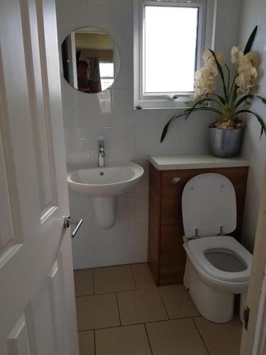 坎伯利Camber Sands Holiday Chalets - The Grey的一间带卫生间、水槽和窗户的浴室