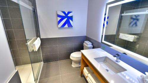 沃德勒伊多里翁沃德勒伊多里翁智选假日酒店的一间带卫生间、水槽和镜子的浴室